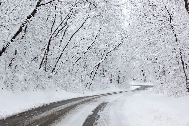 Snow-covered road